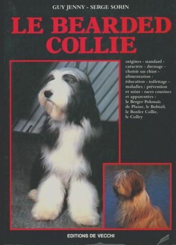 Bearded collie guy jenny - guy,