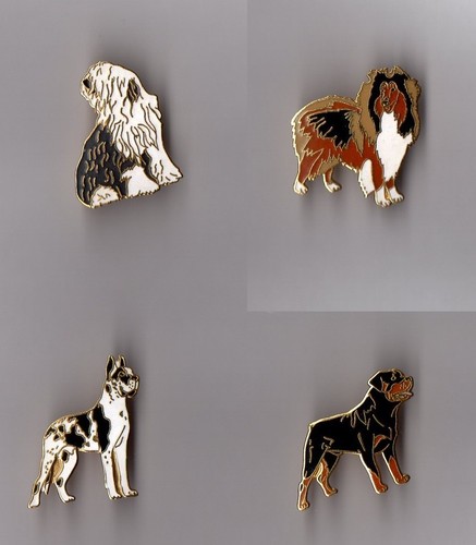 Pin chien races au - pin's,