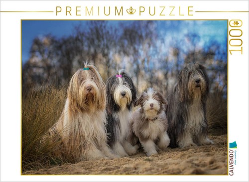 Calvendo puzzle bearded - bearded, collie