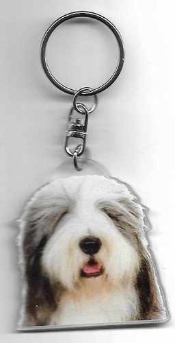 Bearded collie chien porte - collie,