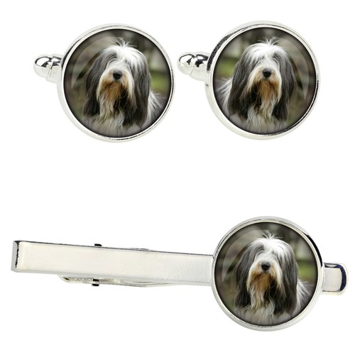 Ensemble bearded collie - de,