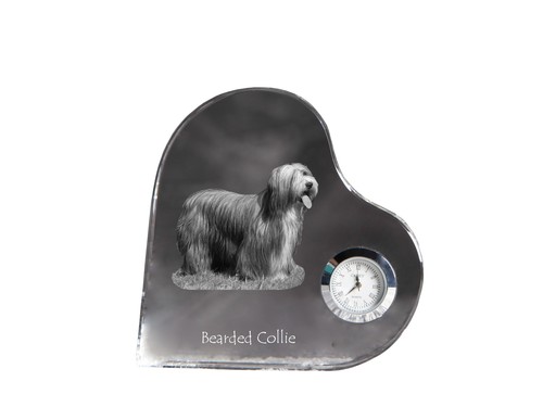 Bearded collie montre - bearded, À