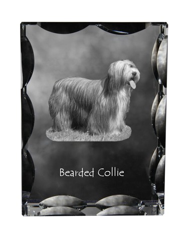 Bearded collie cristal avec - bearded,