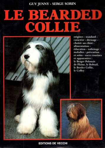 Bearded collie guy jenny - guy,
