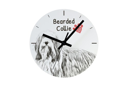 Montre bearded collie avec une - collie,