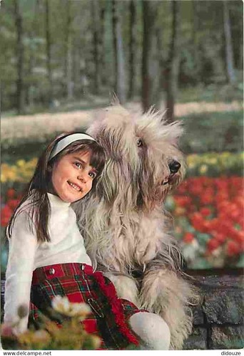 Carte postale animaux - postale,