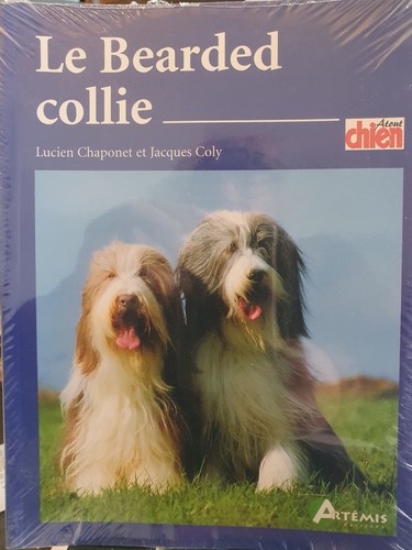 Bearded collie chaponet - bearded,