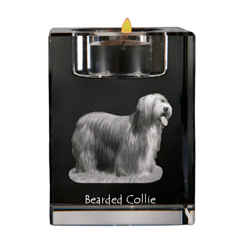 Bearded collie support - bearded,